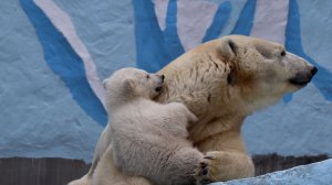 Герда с медвежонком отдыхает на камне