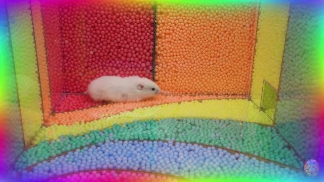 Хомячки против Садовых Монстров – Решающая Битва! часть 4