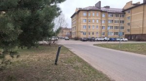 Прогулка с Джеффом по мини парку в Завидово (22.04.2026)