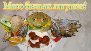 Пробую НЕОБЫЧНОЕ мясо бычьих ЛЯГУШЕК!