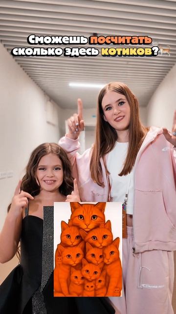 Сможешь посчитать сколько здесь котиков?