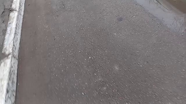 Как пажевает моя сосна