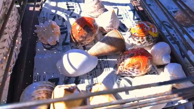 Дорога заканчивается в Вулканической деревне.