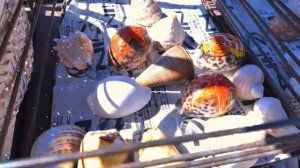 Дорога заканчивается в Вулканической деревне.