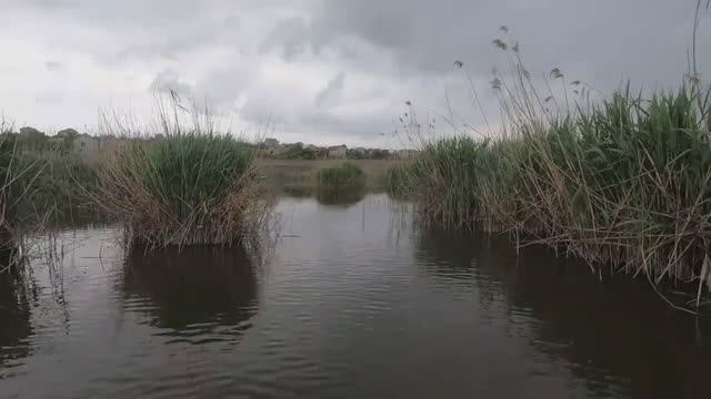 РЕЙД ПО БРАКОНЬЕРСКИМ СЕТЯМ ЧАСТЬ 16