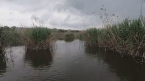 РЕЙД ПО БРАКОНЬЕРСКИМ СЕТЯМ ЧАСТЬ 16