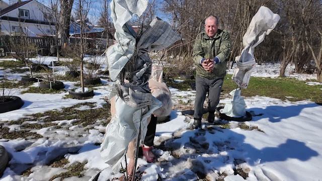 Как снегопад повлиял на сады и огороды Нижегородской области?
