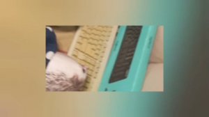 поезд беглец