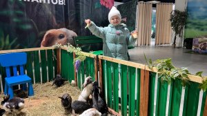 Зашли с Милой в контактный зоопарк в Галактике