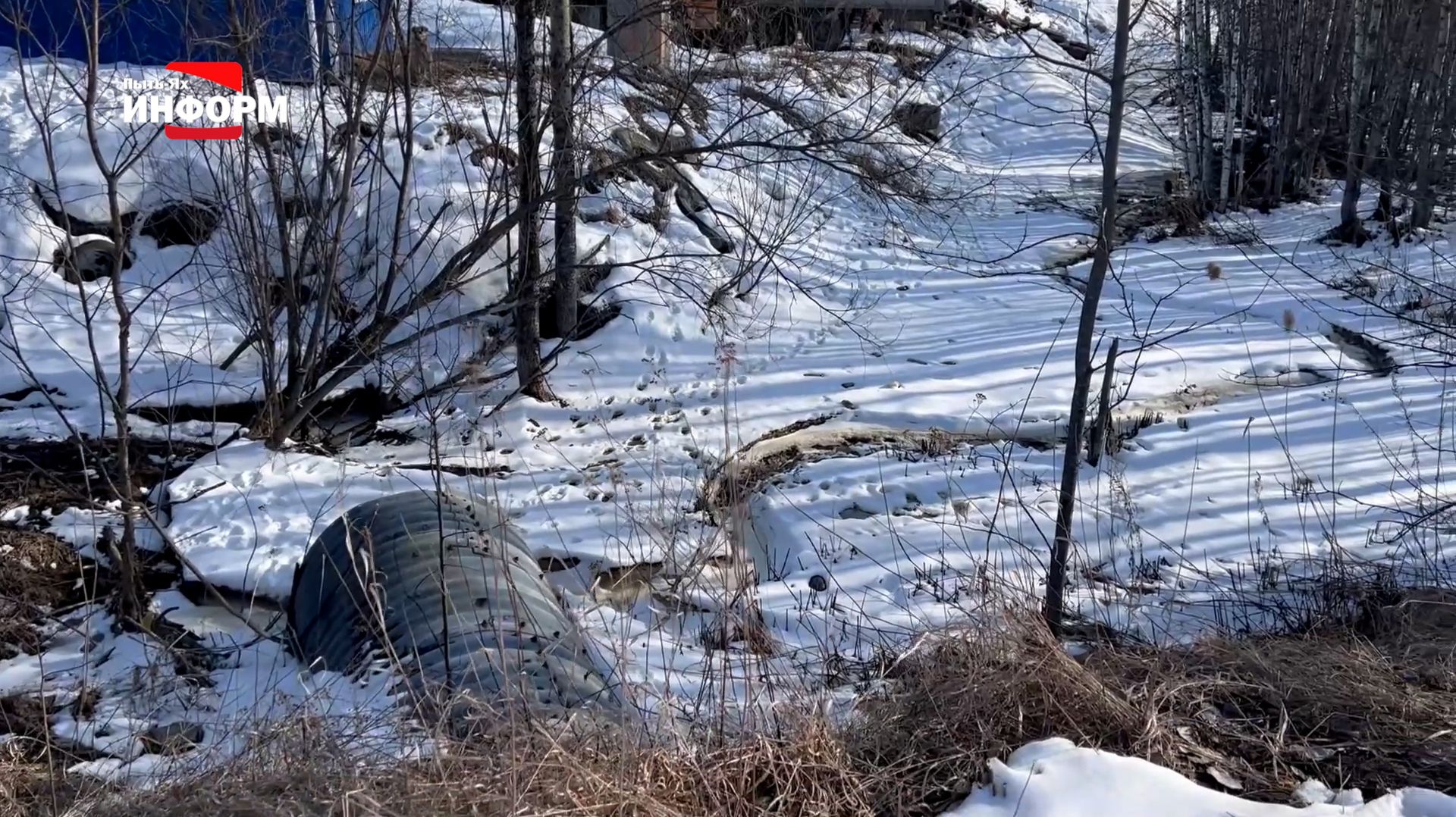 Начата ликвидация склада химреагентов