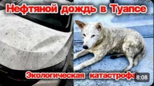 Нефтяной дождь в  Туапсе❗ Экологическая катастрофа❗  Дождь из нефти везде❗ Страдают животные❗