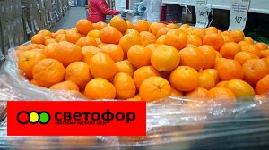 СВЕТОФОР🚦 СЕГОДНЯ ДЕШЕВЛЕ✅ Цены на продукты питания Обзор  Апрель