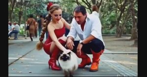 песенка про животных