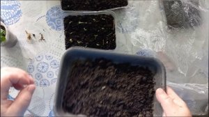 о том о сем,понемногу обо всем😍