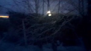 VID_20260416_212121.mp4