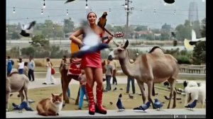 песенка про животных