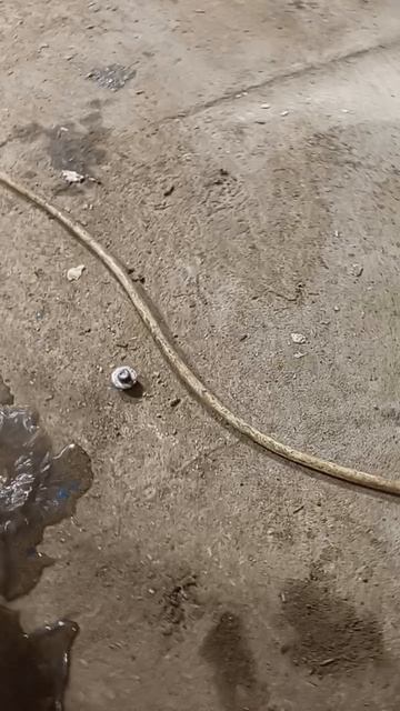 Пропорции реагентов.mp4