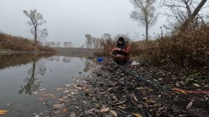 РЫБАЛКА НА ПОПЛАВОЧНУЮ УДОЧКУ