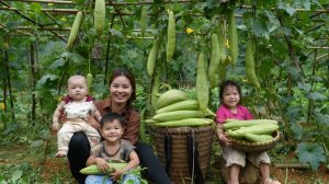 Сбор плодов люфы для продажи на рынке. Готовим вместе с детьми.