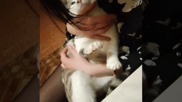 Подружайка. Хромая на голову 