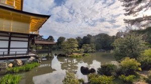 98.Японская золотая эстетика🎗️.