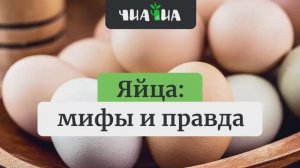 Яйца 🥚: мифы и правда ☝🏼