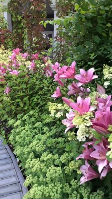 Роскошное сочетание растений