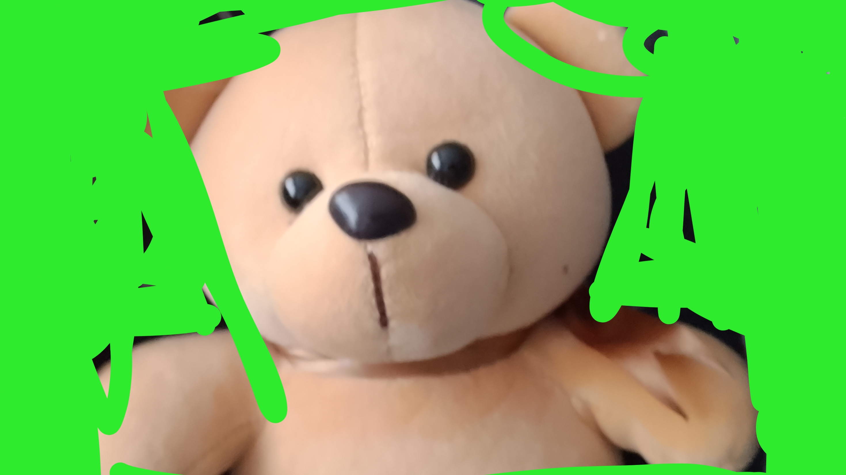 разбор медведя(серый) 🐻🐼🐻❄️