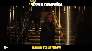 Досье «Чёрная канарейка» 2024