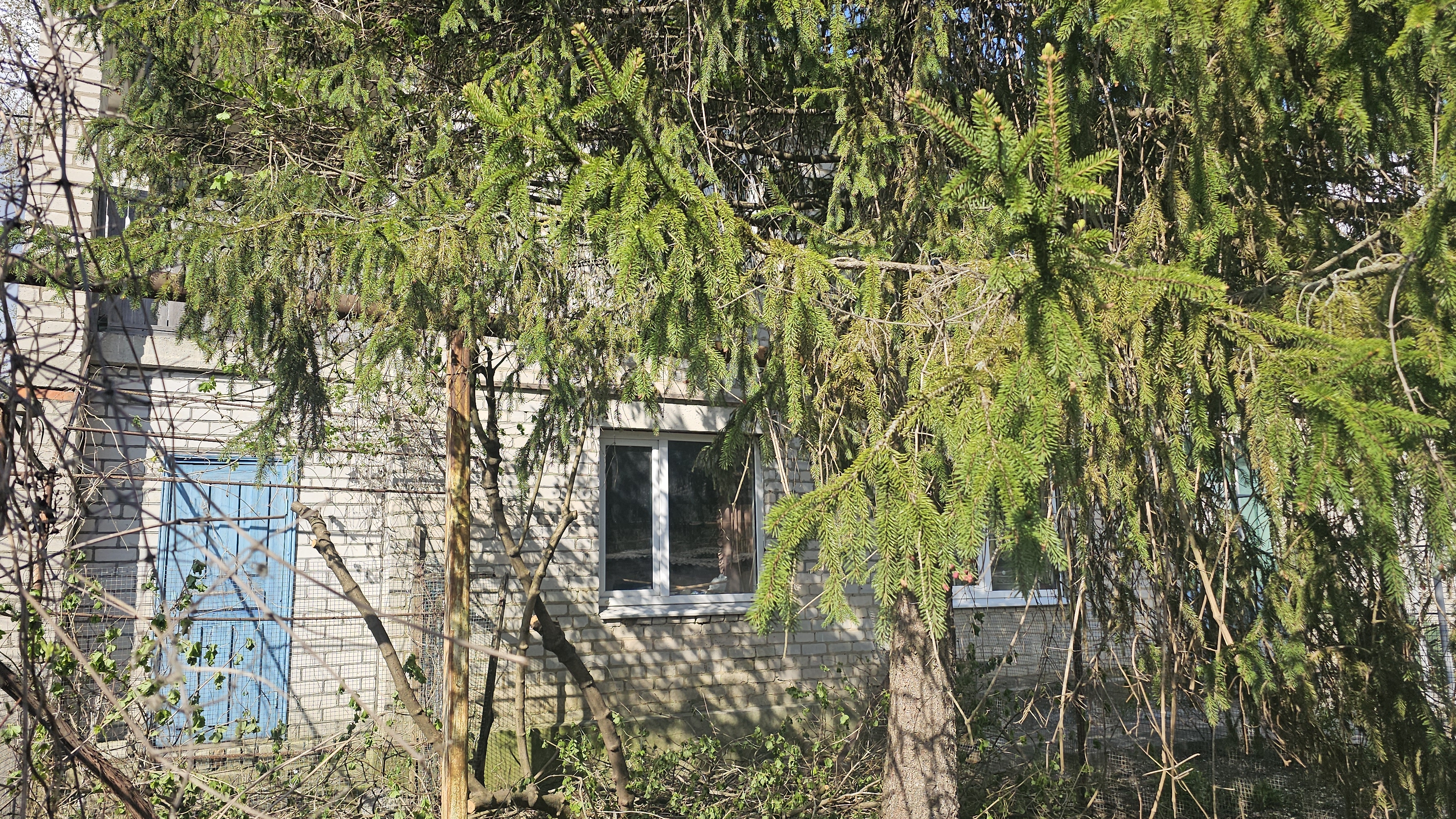 #233.Анапа.Немного Анапы и море,и снова на дачу.Можно открывать библиотеку на Даче.