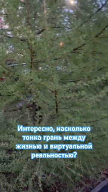 Реальность