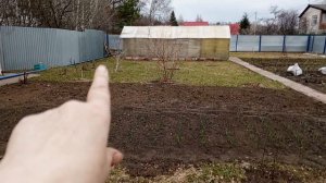 сибирский огород