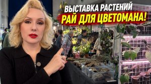 ДОРВАЛАСЬ ДО ВЫСТАВКИ РАСТЕНИЙ 🌿|| МОИ ПОКУПКИ🛍️ || ПРОГУЛКА ПО МАГАЗИНАМ за "НУЖНОСТЯМИ"