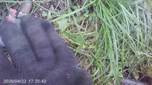 Уборка травы возле поливного крана