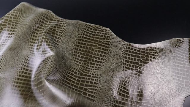 1,4-1,6 Кожа Африка Лесное 158дм² (КЛ)