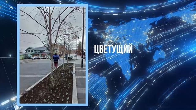 Дайджест на 22.04.2026