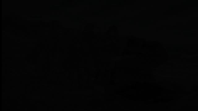 ТЫ ВИКИНГ -БЕРСЕРК И ЭТО ВСЯ ТВОЯ ЖИЗНЬ !Одна жизнь — одна эпоха