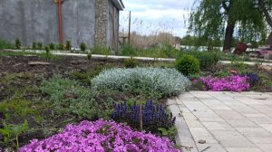 гуляем во дворе 23-04-2026 Старомышастовская. весна. цветы.