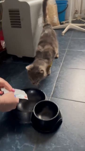 Новости о Тëме. Статус: Хорошеем   Нам сообщил врач мальчишки: Тëма чувствует себя нормально к