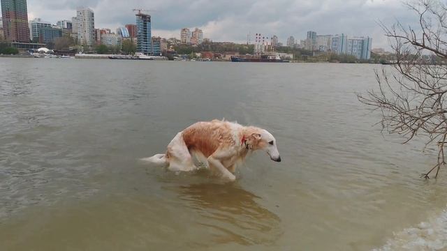 Утренняя разминка