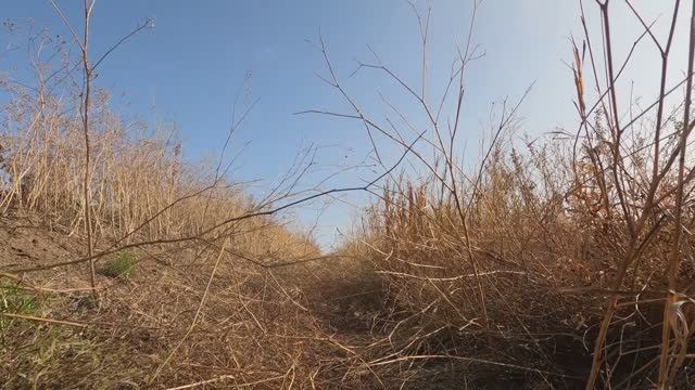 ОХОТА НА УТОЧКУ