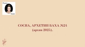 Архетип Эдварда Баха №24, Сосна (архив 2025)