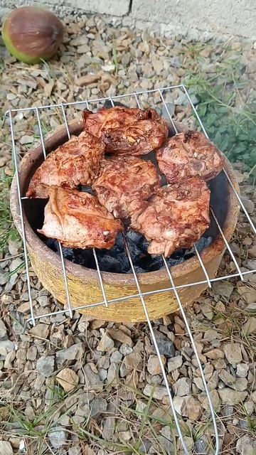 Мангал из цветочного горшка