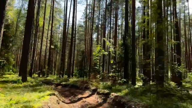 Прогон Багги KTA K5