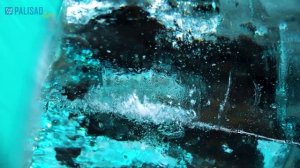 Лопата для уборки снега PALISAD полипропилен, 365x450x1355 мм, алюминиевый черенок, luxe 61677