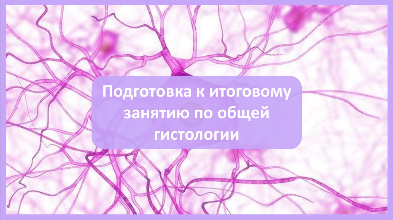Подготовка к итоговому занятию по общей гистологии┃synthesisschool
