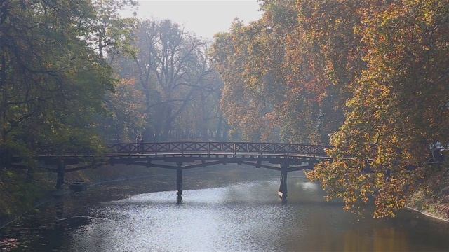 034▪️Пришла осень▪️Мост через речку▪️Футажи ▪️Красивый пейзаж