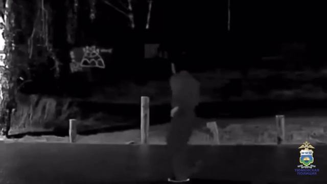 Тюменские полицейские раскрыли кражу питбайка