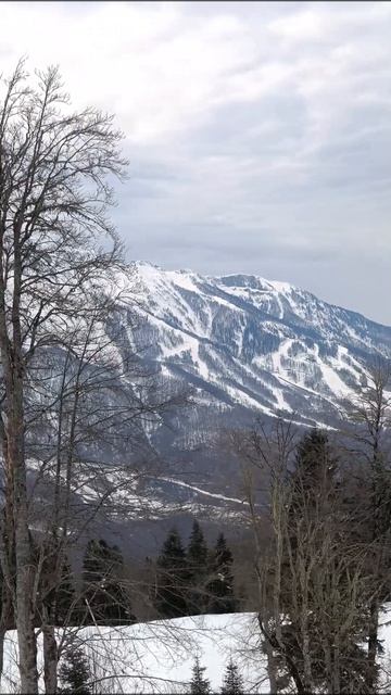 Газпром Подъём Пихтовый 1660м #Сочи #Mountains #Горы #Природа #Russia #Travel #Trip #Nature