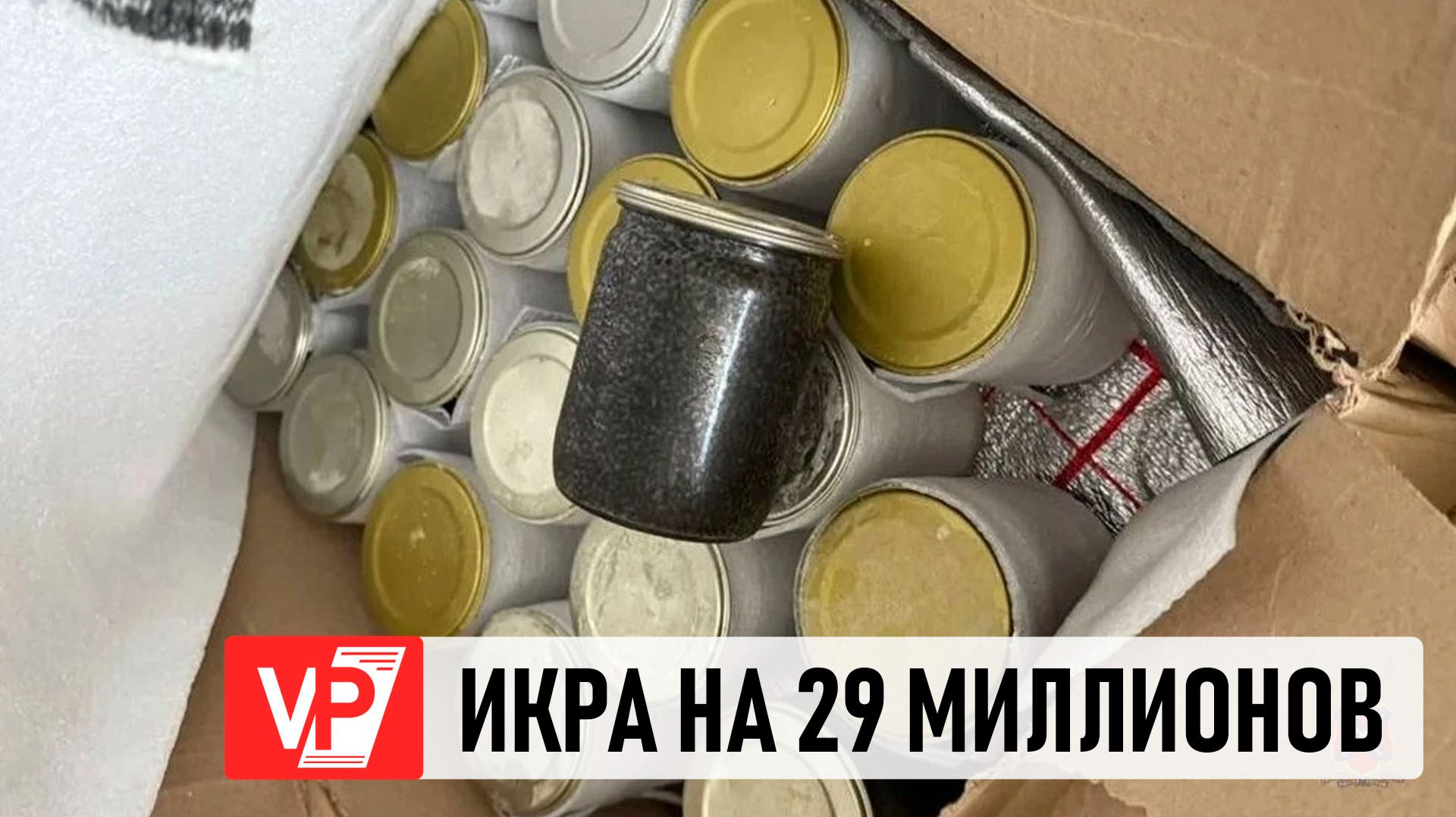 НЕЛЕГАЛЬНУЮ ЧЕРНУЮ ИКРУ НА 29 МЛН РУБЛЕЙ ИЗЪЯЛА ПОЛИЦИЯ В ВОЛГОГРАДСКОЙ ОБЛАСТИ